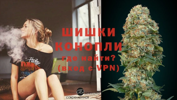 мдпв Слюдянка