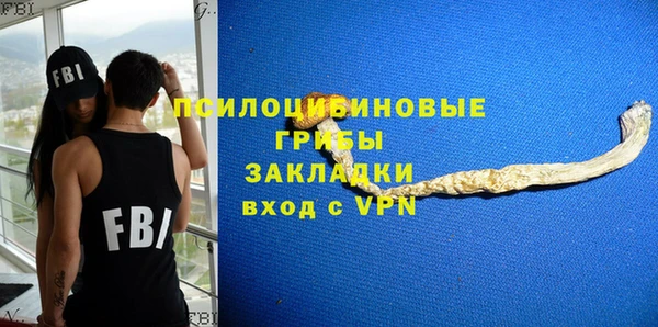 мдпв Слюдянка