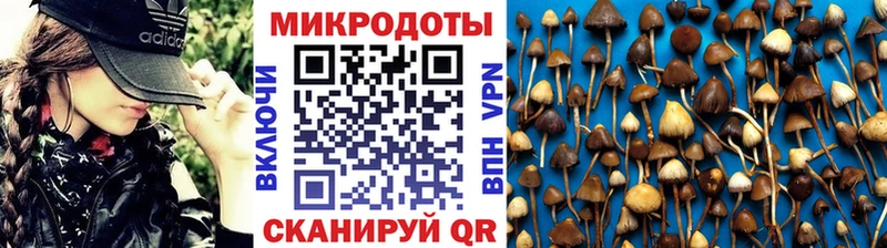Галлюциногенные грибы GOLDEN TEACHER  закладки  Кандалакша 
