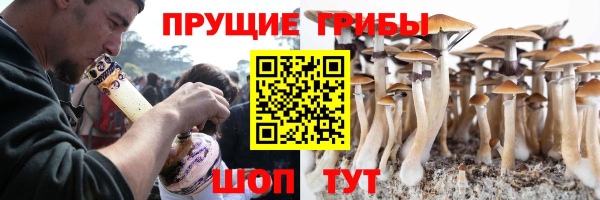 Псилоцибиновые грибы Magic Shrooms Кандалакша