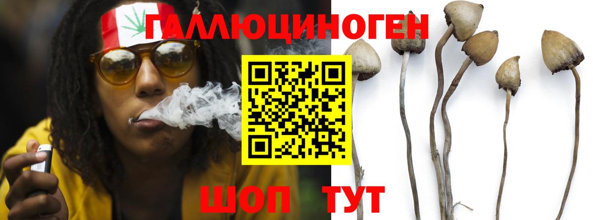 Псилоцибиновые грибы GOLDEN TEACHER  Вход с VPN  Псилоцибиновые грибы Magic Shrooms  Кандалакша 