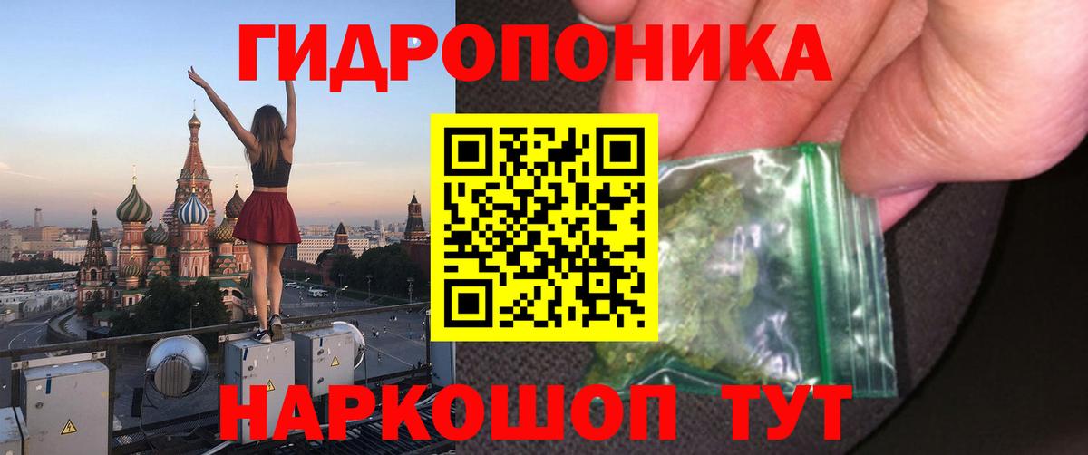 Канабис гибрид Кандалакша